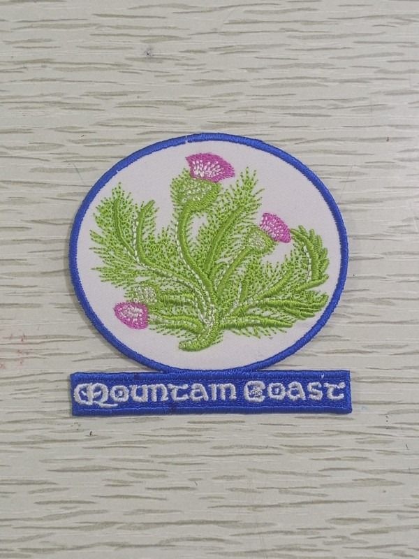 Photographed embroidery sample